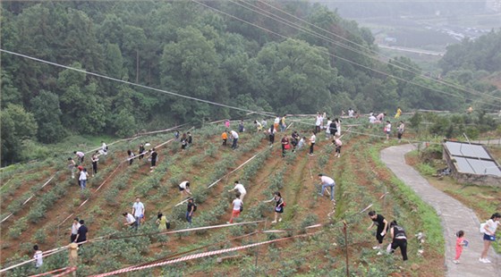 欣靈全體員工雁蕩山一日游