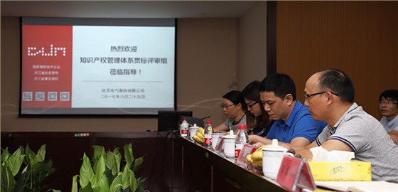 欣靈電氣領(lǐng)導及代表