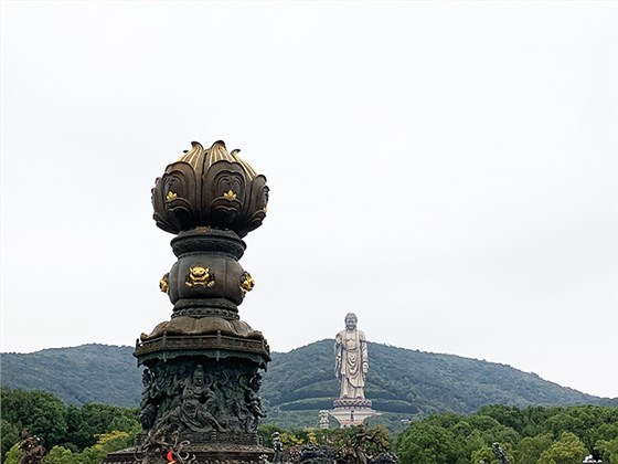 九龍7