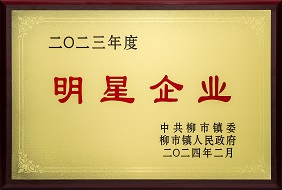 欣靈-2023年度柳市鎮明星企業(yè)