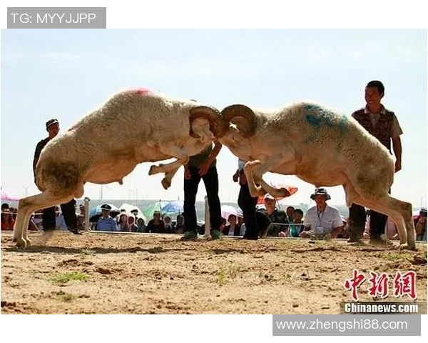 鹏城对决毅腾深圳足球盛宴再掀波澜球迷期待精彩对抗与激情时刻